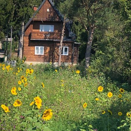 Vacationhome In The Vineyards Вена Экстерьер фото