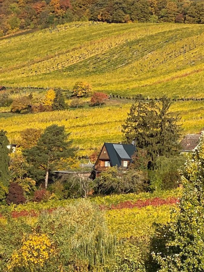 Vacationhome In The Vineyards Вена Экстерьер фото