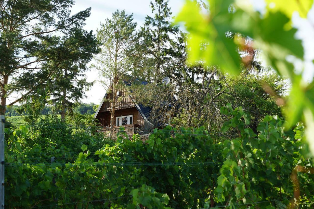 Vacationhome In The Vineyards Вена Экстерьер фото