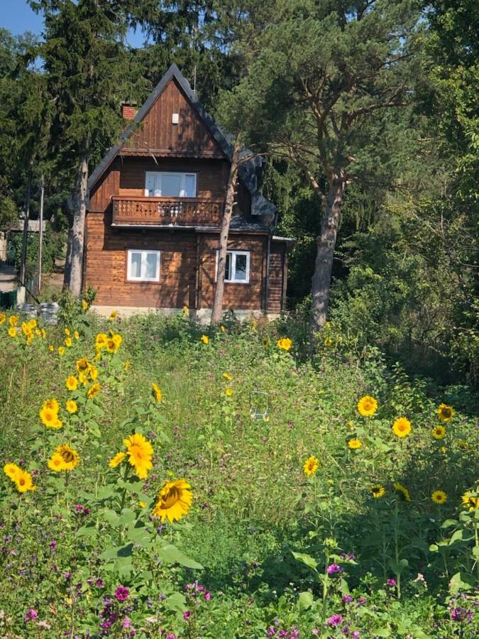 Vacationhome In The Vineyards Вена Экстерьер фото