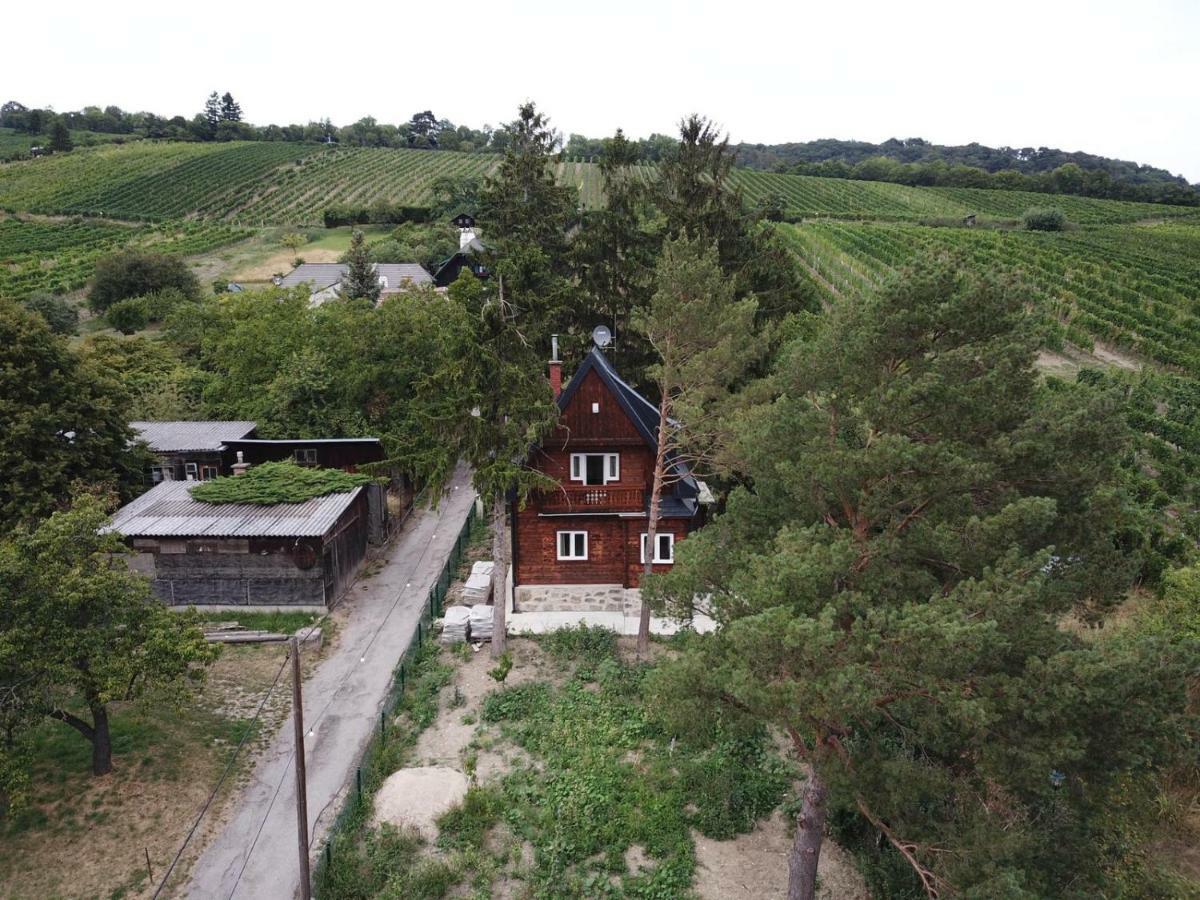 Vacationhome In The Vineyards Вена Экстерьер фото