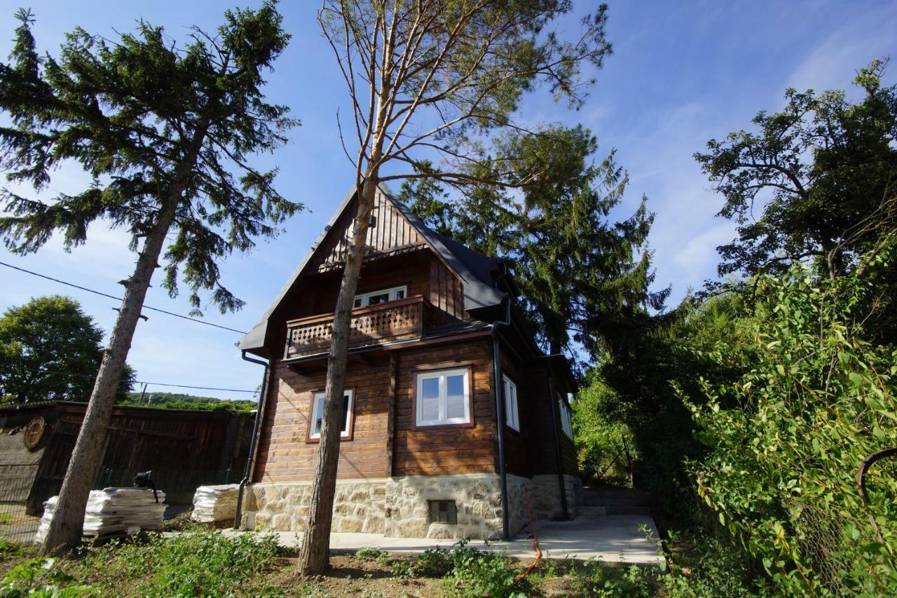 Vacationhome In The Vineyards Вена Экстерьер фото