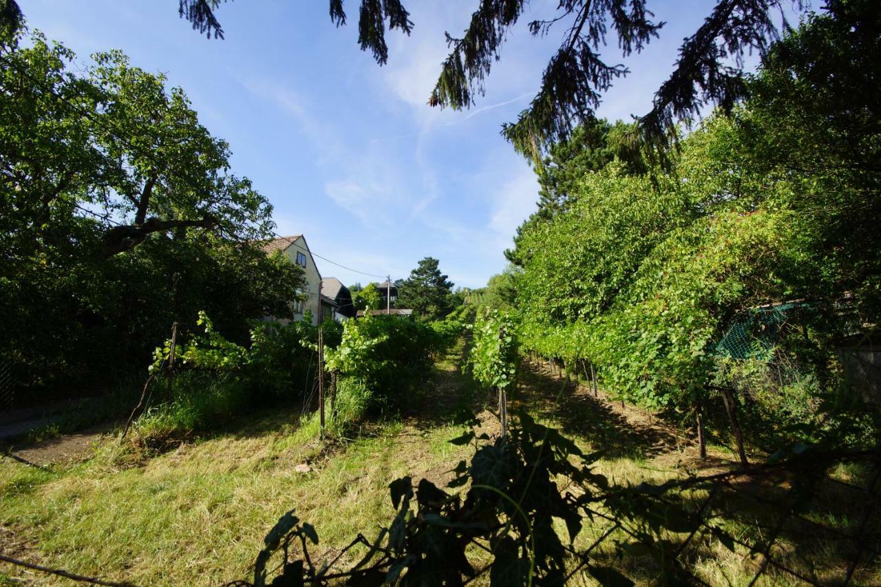 Vacationhome In The Vineyards Вена Экстерьер фото